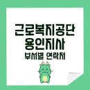여주-1103 이미지