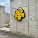 대구대로L 이미지