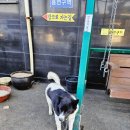 아름다운 한증막 이미지