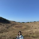 미영농장 | 연돈 오픈런 • 빽다방 빵연구소 • 금오름 • 궷물오름 • 어린왕자감귤밭 감귤체험 • 미영이네 고등어회