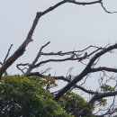 둥구민박 이미지