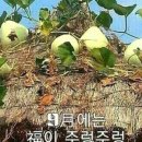 행복한수 이미지