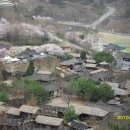 능강민박 | 제천 청풍명월 청풍문화재단지 능강솟대공원 산야초마을