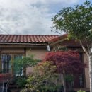 바람꽃뜰 이미지