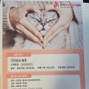 한국고양이혈액센터 이미지
