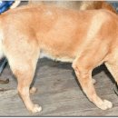 광탄한의원 이미지