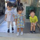 펄벅공원 이미지