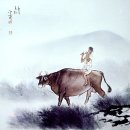 세점길 Daum카페