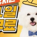 유성애견호텔 이미지