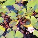 함안볼링장 이미지