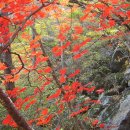 지리산 깊은골 이미지