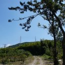 죽순농원식당 이미지