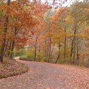 청송자연휴양림 이미지