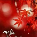 Мой мармеладный / Before The Rain / Che Sarà / Buona Sera 이미지