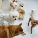 행복한 유치원 이미지