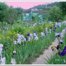 모네의 정원 이미지