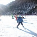 주식회사 더던 | 하이원리조트 어린이 스키강습 보드강습 3시간 강습권 가격