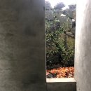 답다니언덕집 이미지