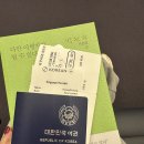 시드니 왔드니 좋드니