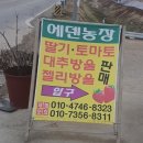 에덴농장 | 포천 딸기체험 에덴농장 다녀온 후기