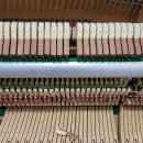 예진음악학원 이미지