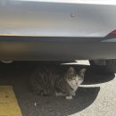 막이오름 부산서면점 이미지