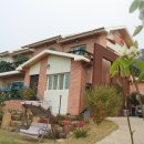 아지랑냉이랑 이미지