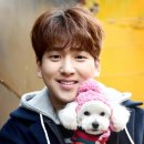 스타펫 이미지