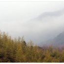 청학동서당청소년수련원 이미지