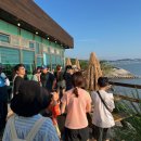 [홍성한달살기] 홍성여름학교 일주일 여행 후기 2탄