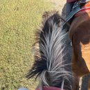 거북공원-2　 | 몽골여행 테를지 1박2일 코스 추천 - 거북바위 포토존, 독수리체험