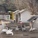 서운농장 이미지