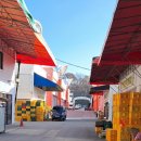 풍년청과 이미지