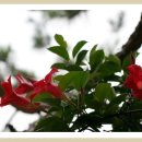 보리펜션 이미지