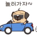 위드댕댕이