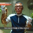 코리아헌터 Daum카페