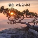 94일 삼상 17-18장 다윗과 사울 23.12.1017장 다윗과 골리앗 ~ 18장 질투 1믿음과 용기로 골리앗을 물리친 다윗 그런 이미지