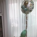 한스 페키니즈 이미지