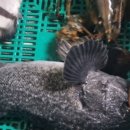 남양주 실내 바다낚시터 이미지