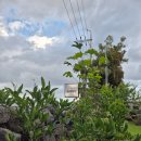 스테이빌레하임 | [스테이빌레하임] 늦은 여름휴가 작은동 내돈내산 숙박 후기 제주 서귀포 남원 펜션 추천