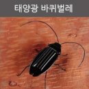 A0864 쇼핑하우