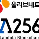 나무 네트웍스
