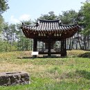 고반대 이미지