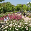 휴식 조형벤치 이미지