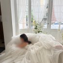 더컷헤어 | #9 끌로에 청담 촬영 헤어 후기 (토탈스튜디오 로렌하우스 연계 )