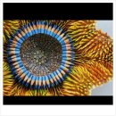 몽당연필 이미지