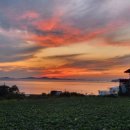 당포의하루 이미지