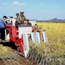 안석농장 이미지