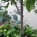 옥상슈퍼 - 안동시 밤적골길 29 | 옥상슈퍼