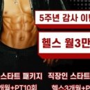 분당피티 티바디 이미지